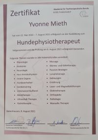 Hundephysiotherapie