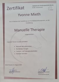 Manuelle Therapie